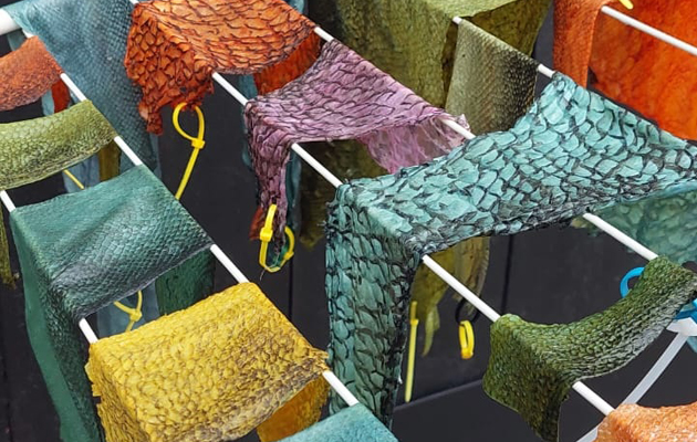 Färggranna garvade fiskskinne hänger på tork.