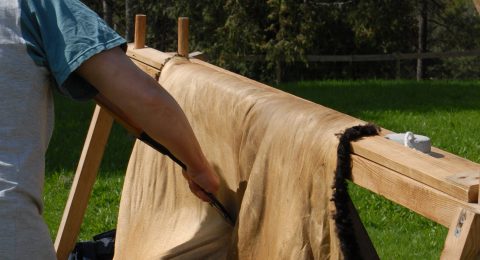 Bearbetning av ett brunt fårskinn.